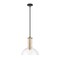 Designers Fountain Nova 60 Watt 1 Light Matte Black Pendant with Clear Seedy Glass Shade D283M-14P-MB - alternate 1